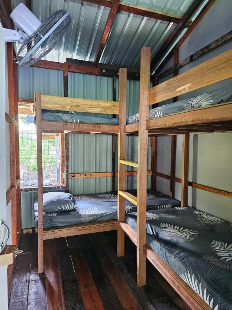 RAKIT CIKNA KENYIR (RAKIT BIRU) (2)
