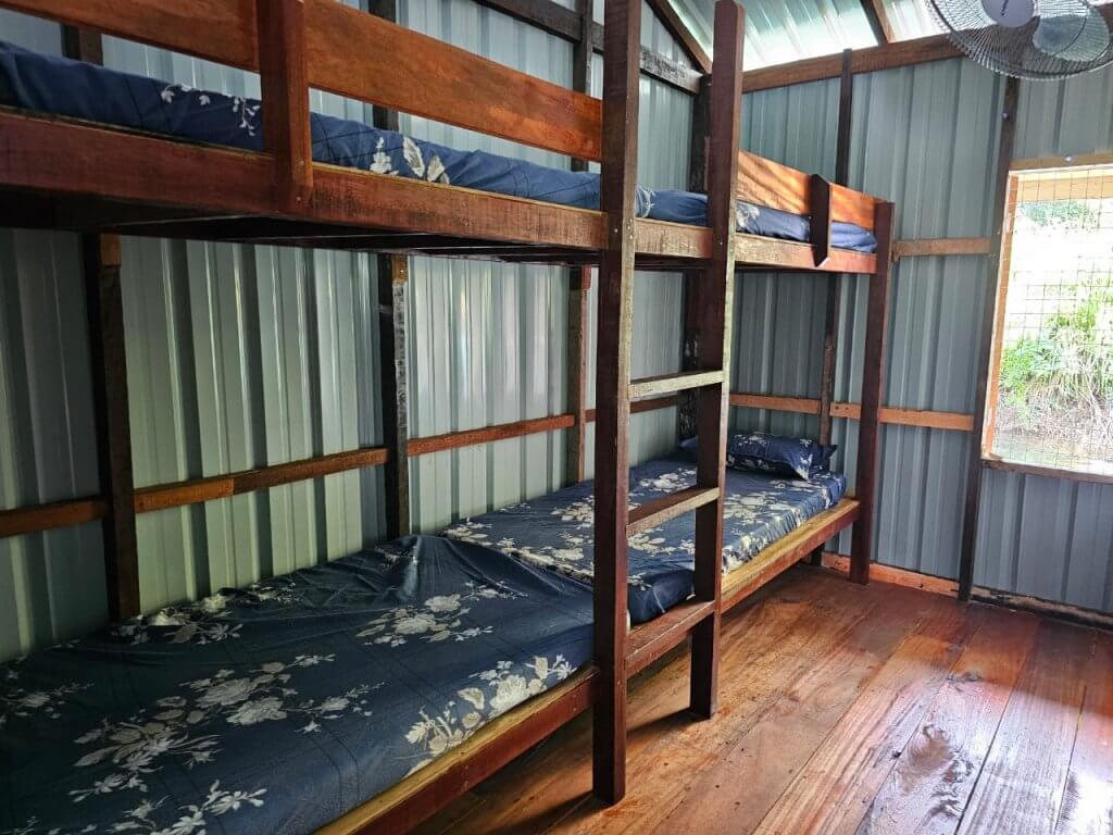 RAKIT CIKNA KENYIR (RAKIT BIRU) (6)