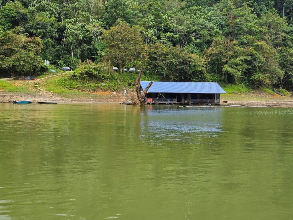 RAKIT CIKNA KENYIR (RAKIT BIRU) (8)